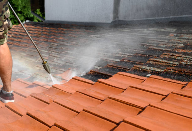 Best Sidewalk Pressure Washing  in Albert Lea, MN