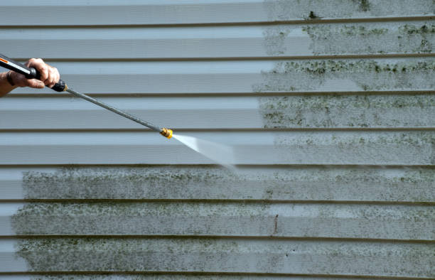 Best Commercial Building Pressure Washing  in Albert Lea, MN
