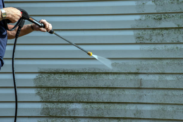 Local Pressure Washing Services in Albert Lea, MN