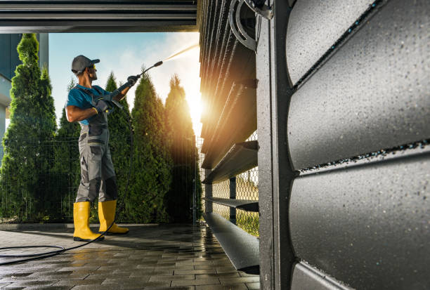 Best Exterior Home Cleaning  in Albert Lea, MN