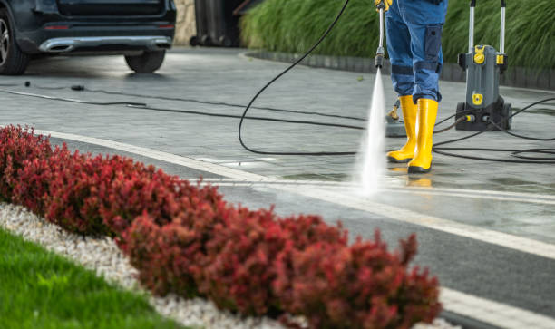Professional Pressure Washing in Albert Lea, MN