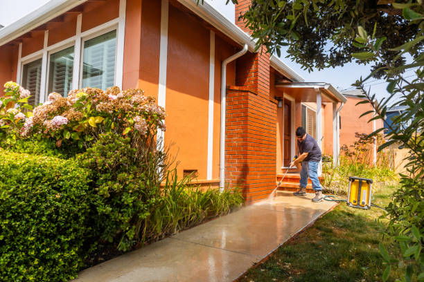 Best Roof Pressure Washing  in Albert Lea, MN