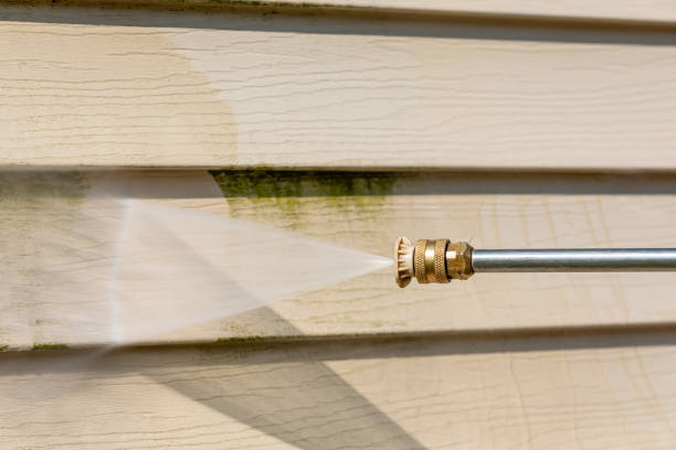 Best Local Pressure Washing Services  in Albert Lea, MN