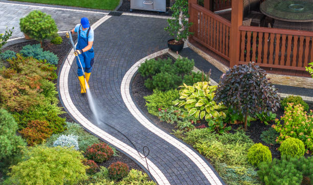 Best Sidewalk Pressure Washing  in Albert Lea, MN